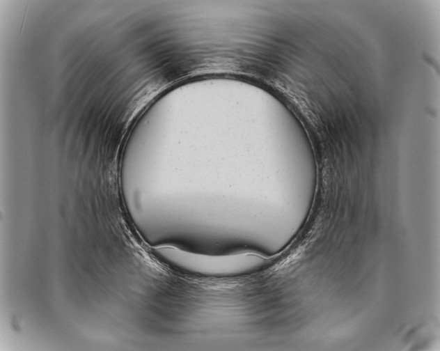 X0000095881129200802081048