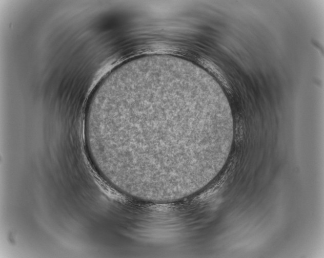 X0000095881130200802081048