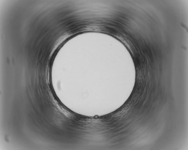 X0000095881131200802081048