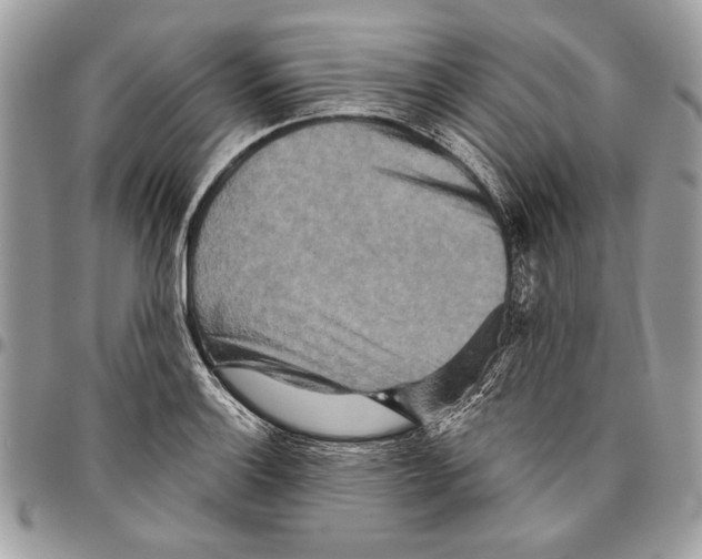 X0000095881132200802081048