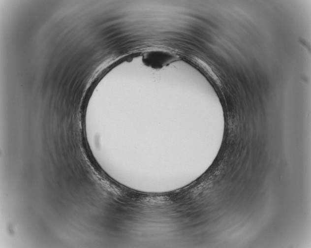 X0000095881133200802081048