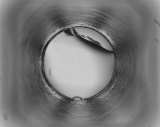 X0000095881134200802081048