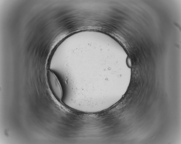 X0000095881135200802081048