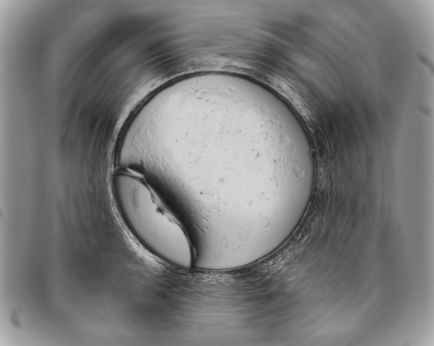 X0000095881136200802081048