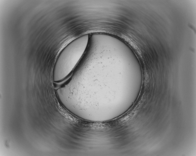 X0000095881137200802081048