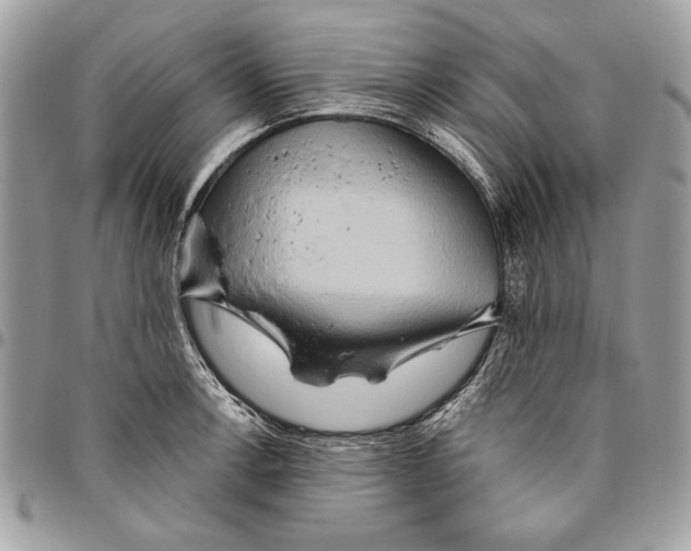 X0000095881138200802081048