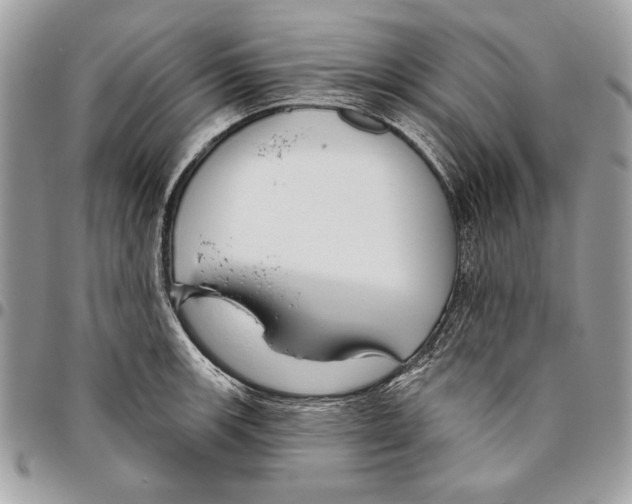 X0000095881139200802081048