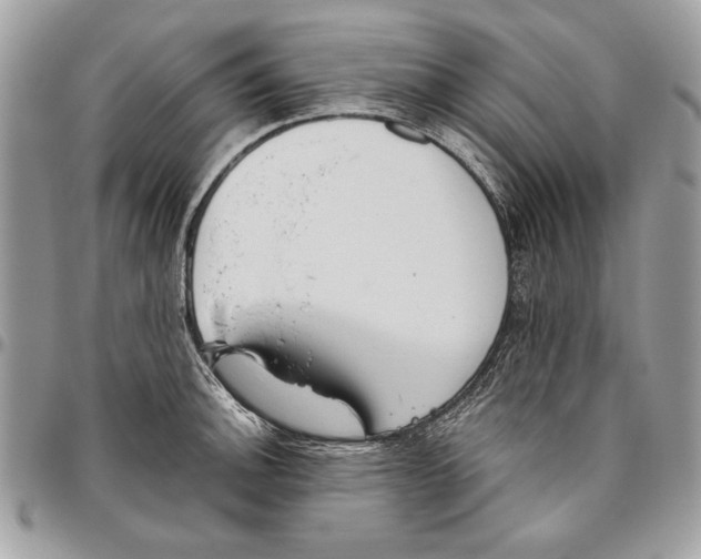 X0000095881140200802081048