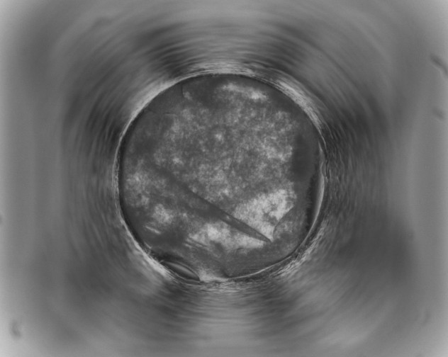 X0000095881141200802081048