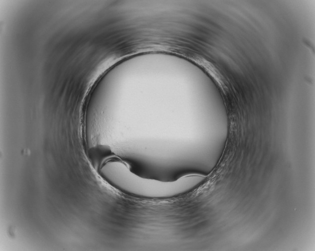 X0000095881143200802081048