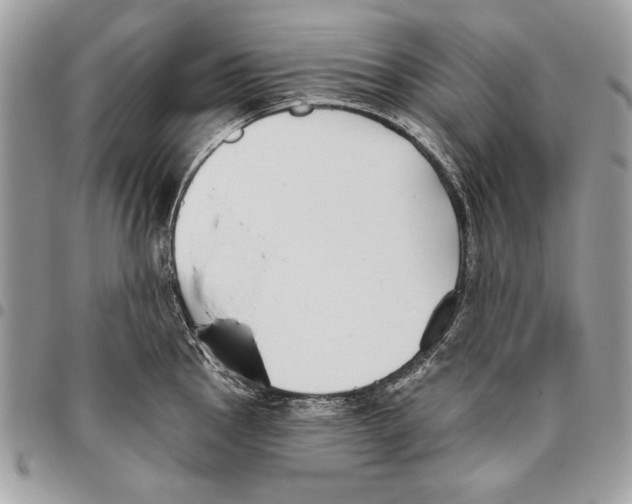 X0000095881145200802081048