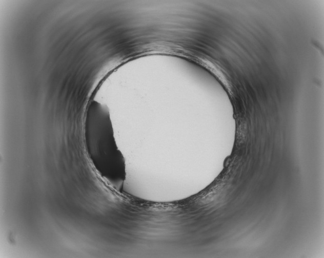 X0000095881146200802081048