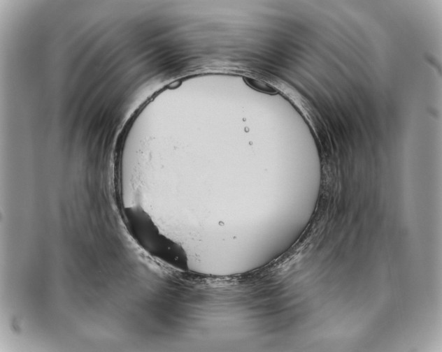 X0000095881147200802081048