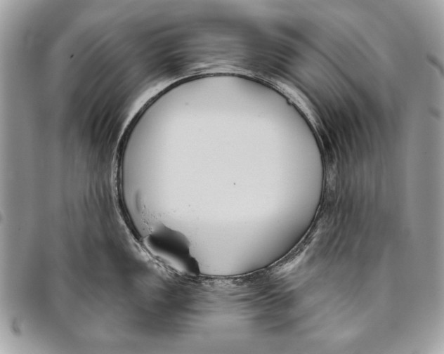 X0000095881149200802081048