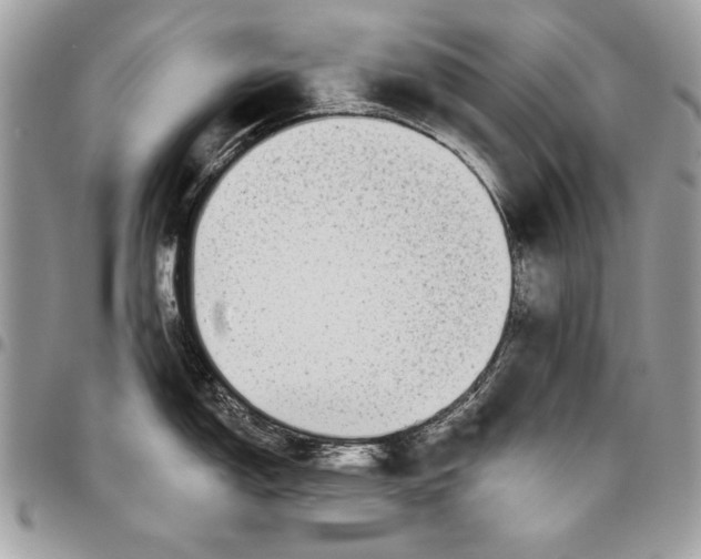 X0000095881150200802081048