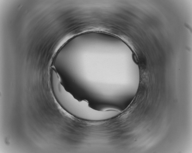 X0000095881151200802081049