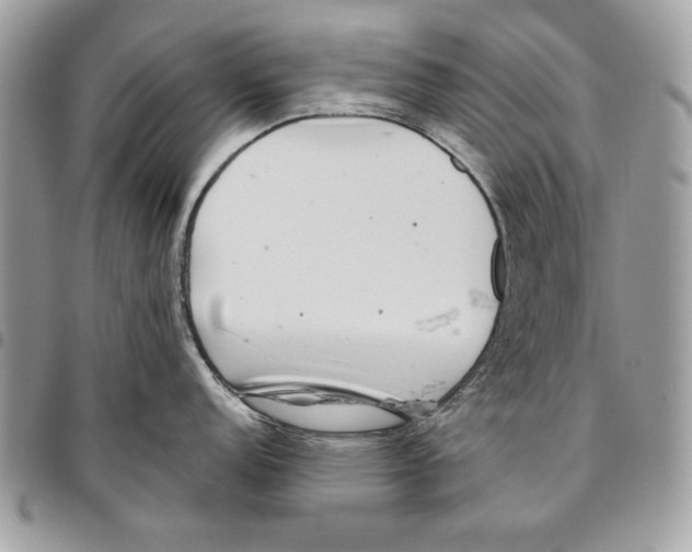 X0000095881152200802081049