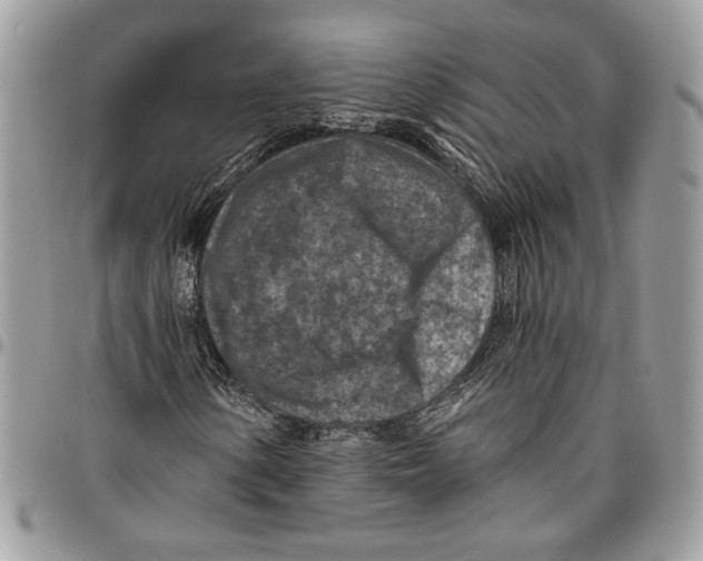 X0000095881154200802081048