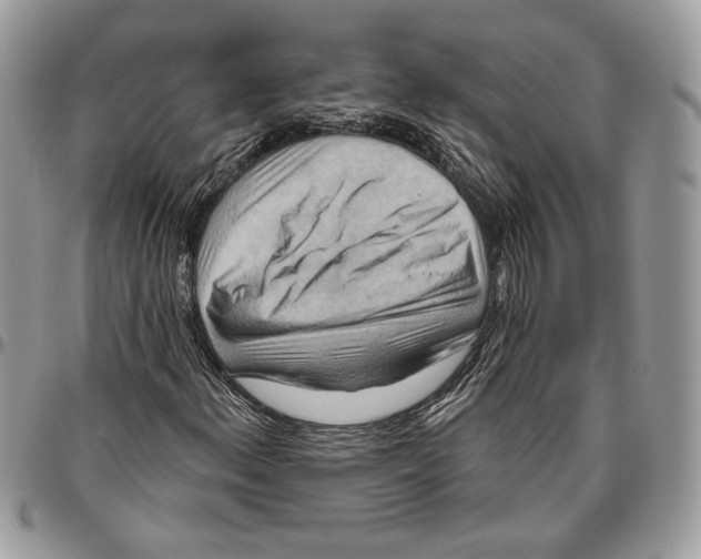 X0000095881156200802081048