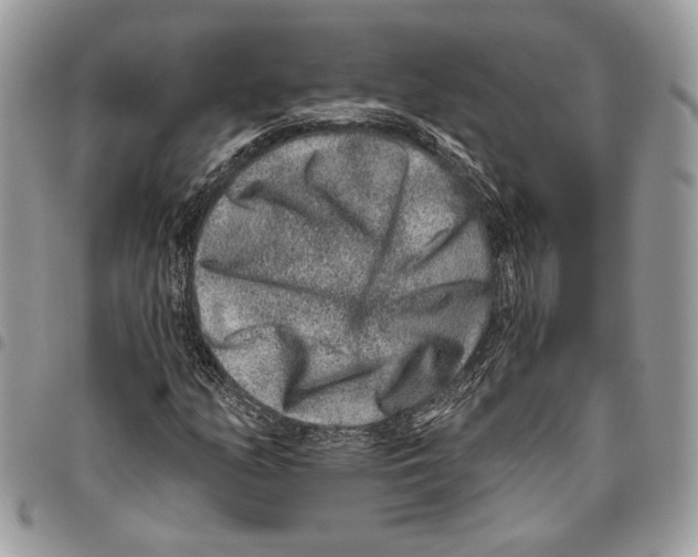 X0000095881158200802081048