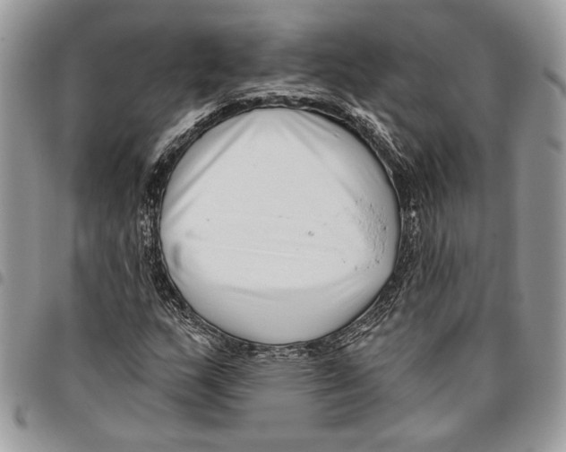 X0000095881159200802081048