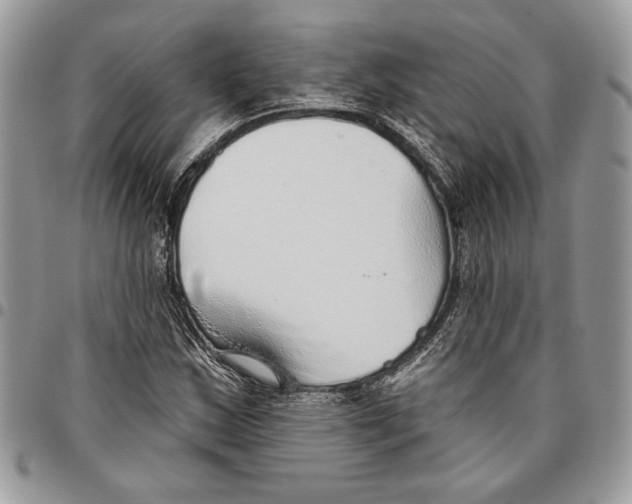 X0000095881163200802081048