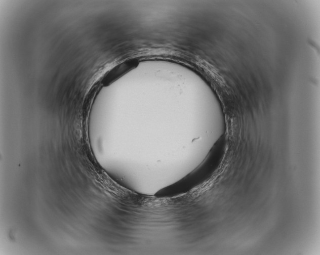 X0000095881165200802081048