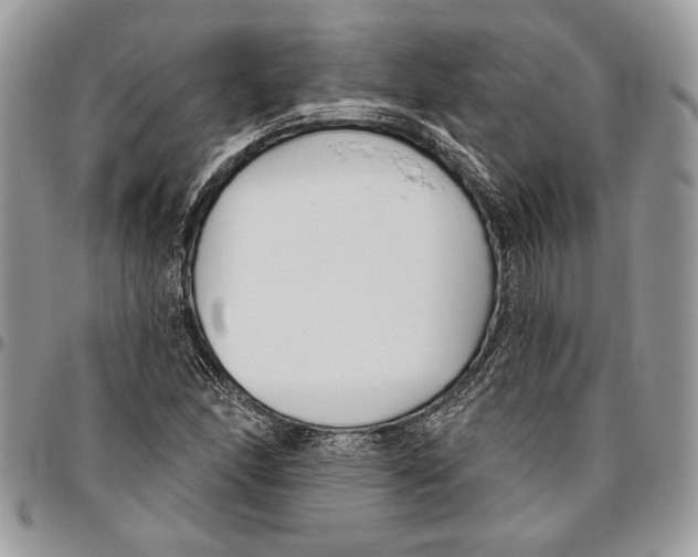 X0000095881166200802081048