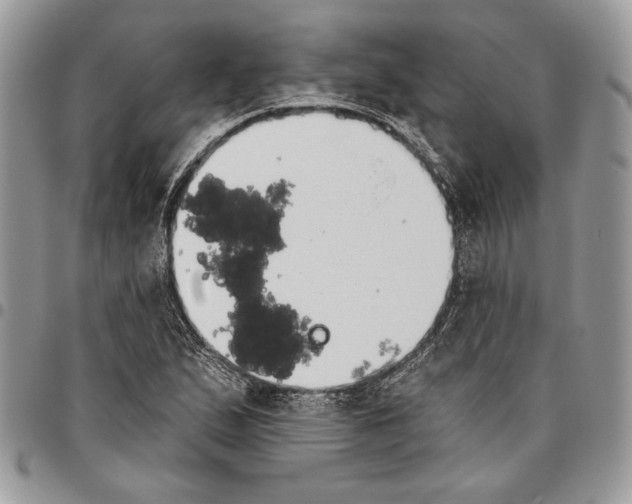 X0000095881167200802081048