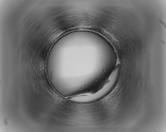 X0000095881169200802081048