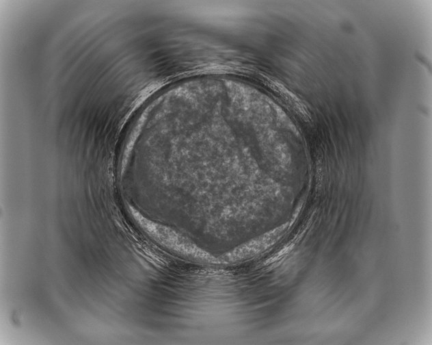 X0000095881170200802081048