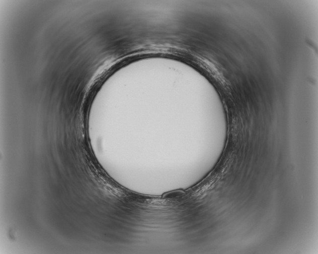 X0000095881172200802081048