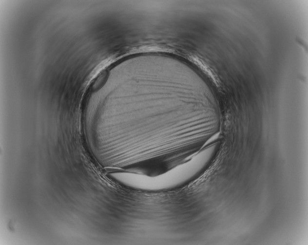 X0000095881173200802081048