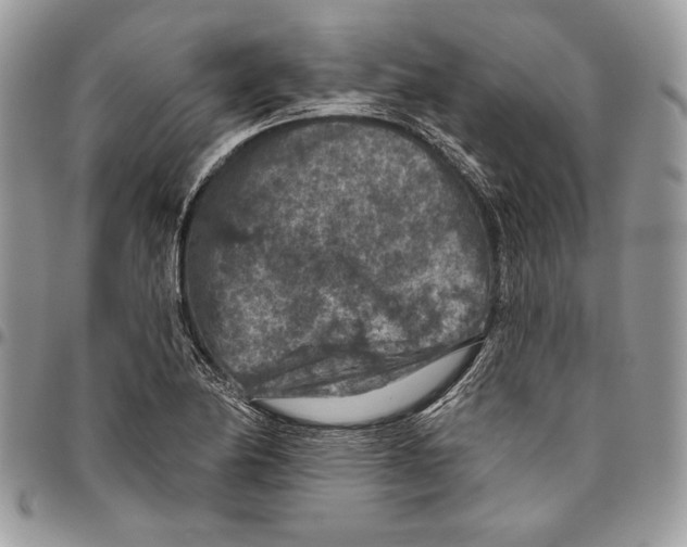 X0000095881174200802081048