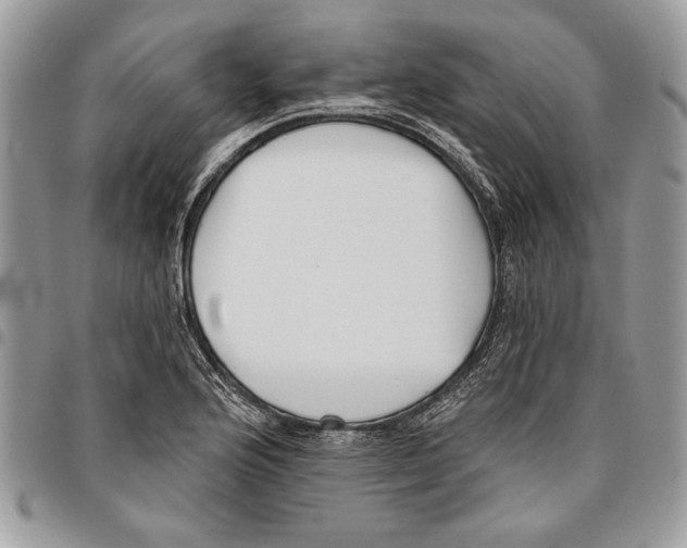 X0000095881176200802081048