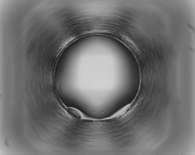 X0000095881177200802081048