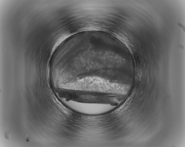 X0000095881179200802081048