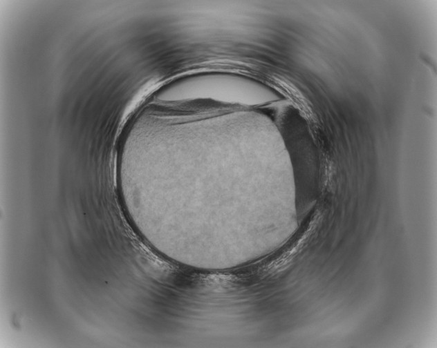 X0000095881180200802081048