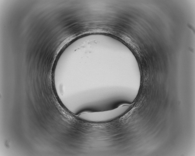 X0000095881181200802081047