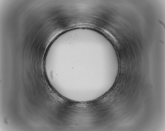 X0000095881182200802081047