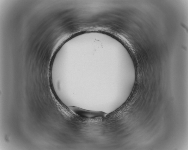 X0000095881183200802081047