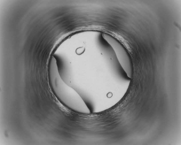 X0000095881184200802081047