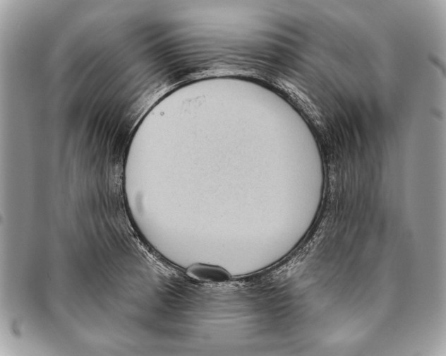 X0000095881185200802081047