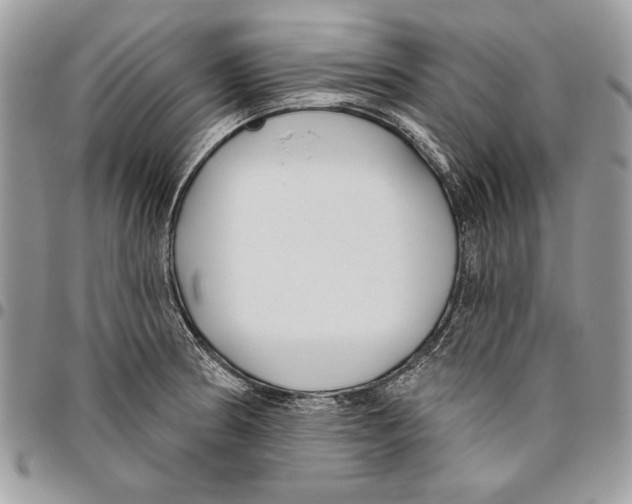 X0000095881186200802081047