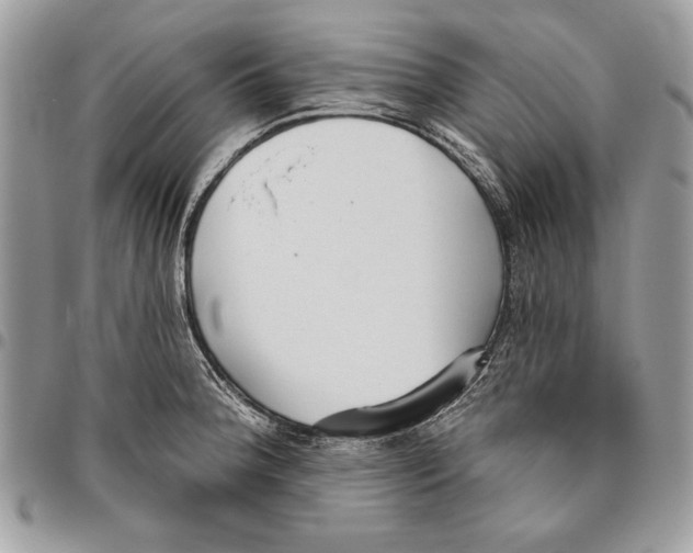 X0000095881188200802081047