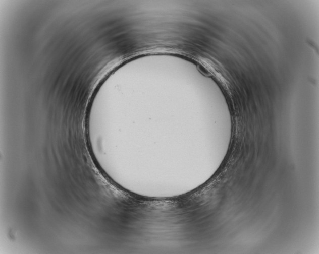 X0000095881189200802081047