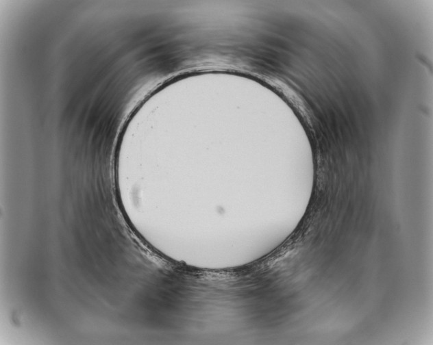 X0000095881191200802081047