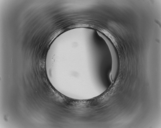 X0000095881193200802081047