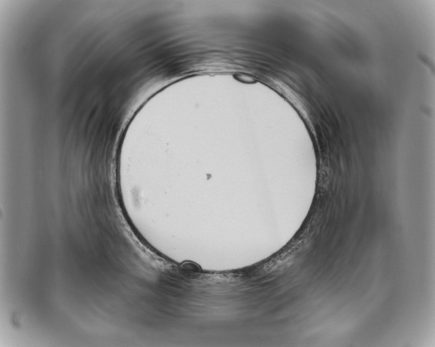 X0000095881195200802081047