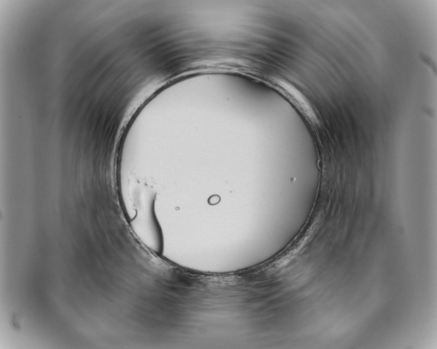 X0000095881196200802081047